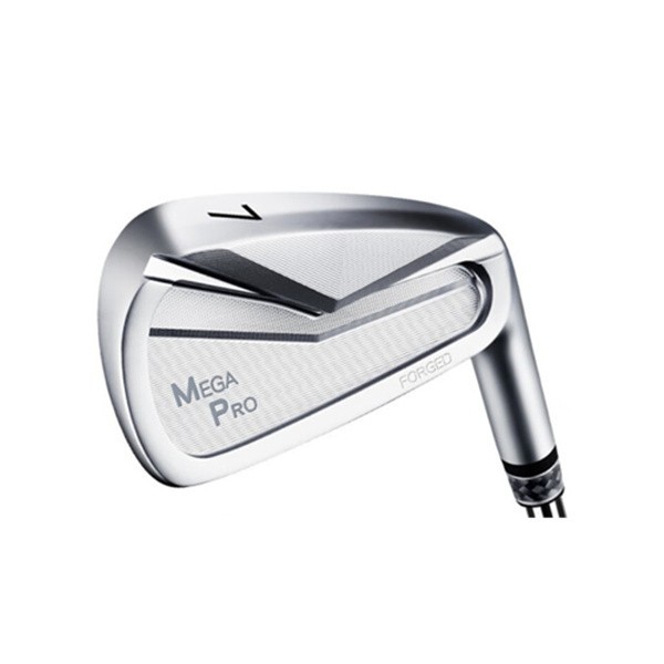 Golf Head Stainless Steel Forgings1